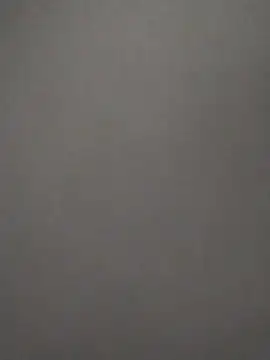 Baumhackel online show from February 8, 11:52 am