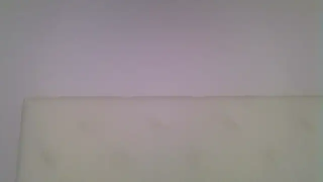 EvaaMina online show from November 18, 10:29 am