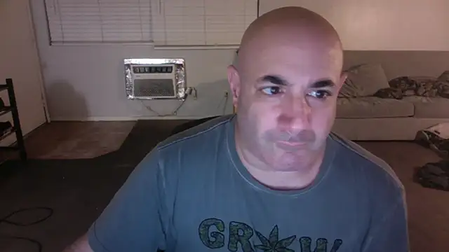 palidin1 online show from December 22, 7:30 am