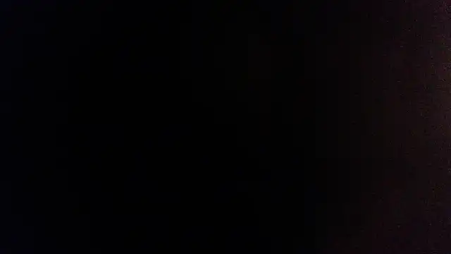 palidin1 online show from December 5, 6:23 am