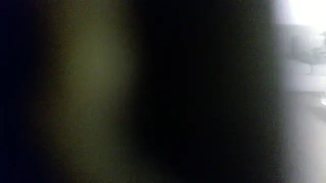 palidin1 online show from February 1, 7:50 am