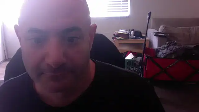 palidin1 online show from November 24, 9:37 pm