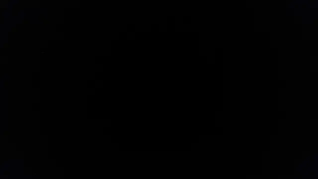 palidin1 online show from June 27, 7:42 pm