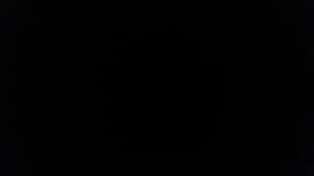 palidin1 online show from December 5, 7:45 pm