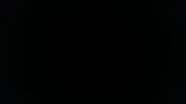 palidin1 online show from November 26, 1:16 am