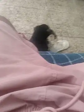 vini4016 online show from December 20, 12:05 pm