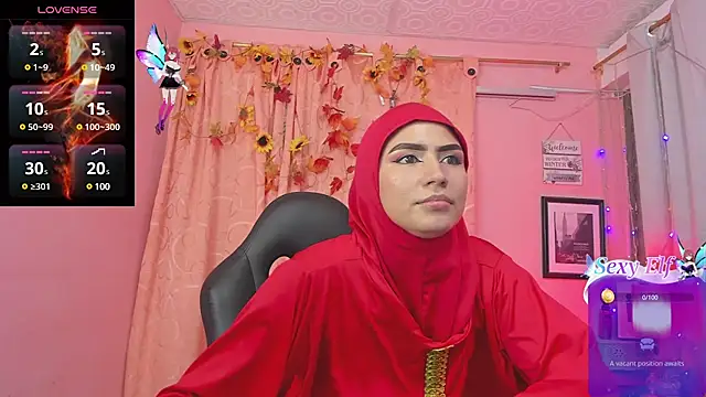 Snapshot of DarshaKhemu chatting on February 25, 8:32 pm DarshaKhemu online show from February 25, 8:32 pm