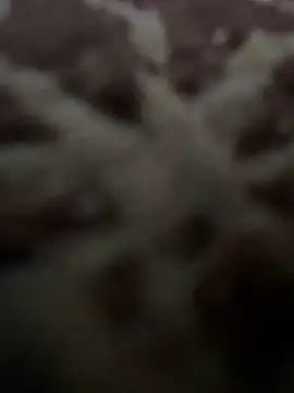 HHHHHxxn online show from May 1, 9:42 pm
