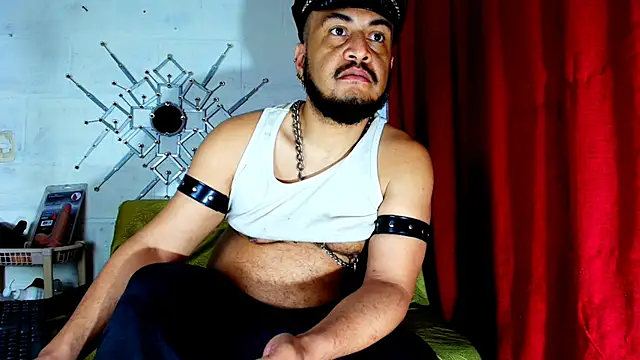 the master foal  online show from November 29, 11:10 am