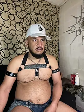 the master foal  online show from March 11, 7:19 pm