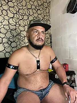 the master foal  online show from April 11, 7:16 am