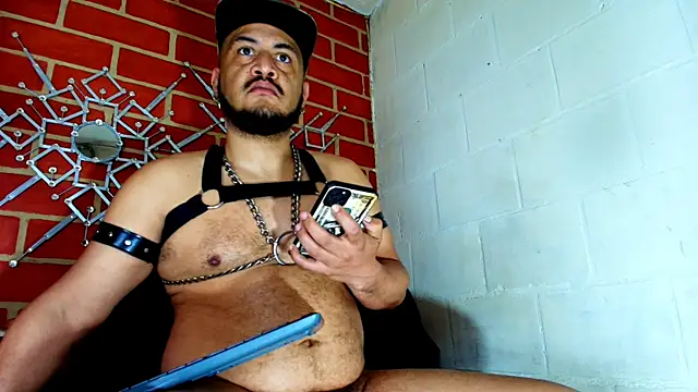 the master foal  online show from October 29, 7:13 pm