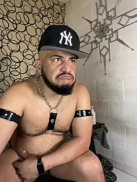 the master foal  online show from March 13, 12:43 pm