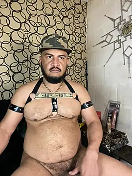 the master foal  online show from March 17, 11:41 pm