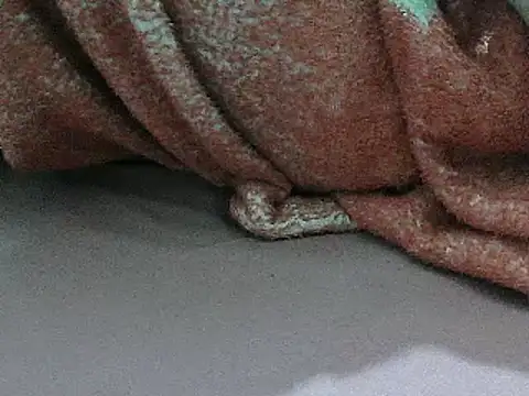 FUN4TIPS online show from March 2, 5:09 pm