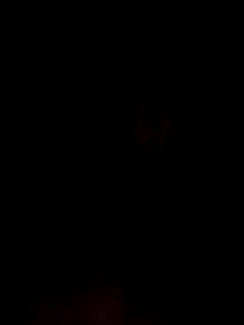 kingdennis6666 online show from November 11, 3:34 am