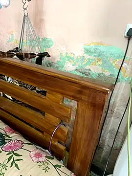 falooda288 online show from October 28, 8:35 am