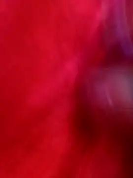 neha-bhabhi online show from October 15, 4:00 am