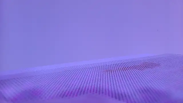 shelsyloreds online show from November 28, 11:54 am