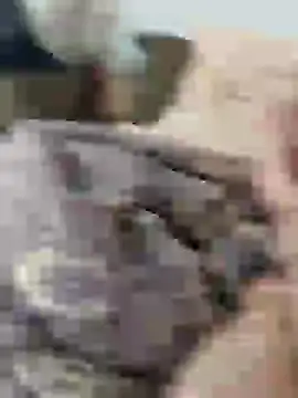 Yaramaz331 online show from March 11, 10:29 am