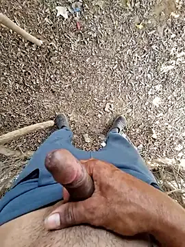 Snapshot of breejs chatting on November 1, 5:57 am breejs online show from November 1, 5:57 am