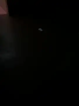 MALEHYPER online show from December 2, 8:21 pm