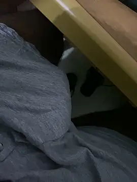 MALEHYPER online show from October 4, 6:31 pm