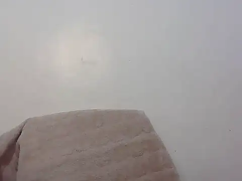 Snapshot of wild_amber25 chatting on November 29, 8:14 am wild amber25 online show from November 29, 8:14 am