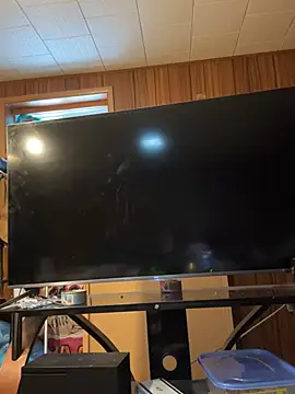 Mini And The Bear online show from March 29, 3:02 pm