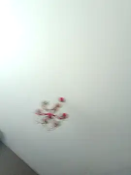 ClubbyEuphory online show from February 5, 1:40 pm