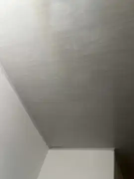 Juliana News online show from November 19, 4:51 pm