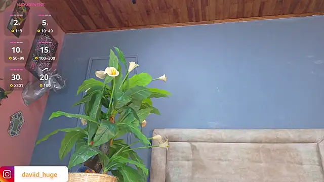 nicol snow online show from January 15, 1:25 pm