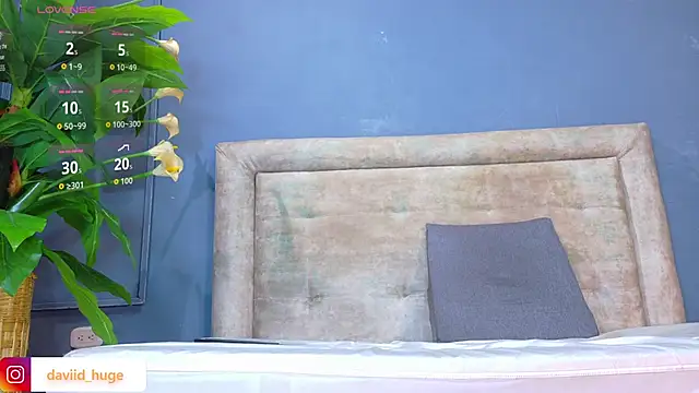 nicol snow online show from January 12, 1:51 pm