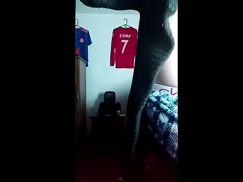 Snapshot of ALBEIROFOOTBALL1992 chatting on October 31, 3:25 am ALBEIROFOOTBALL1992 online show from October 31, 3:25 am