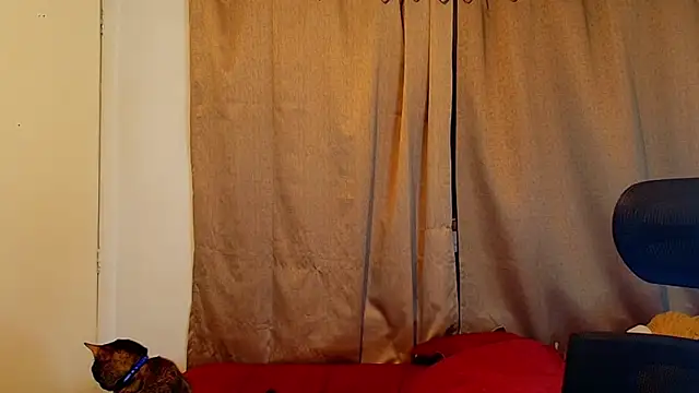 jimmy class online show from October 16, 12:30 am