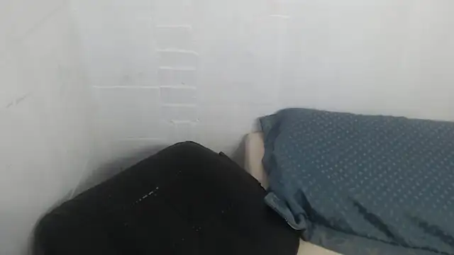 selenax2023 online show from November 23, 1:15 am