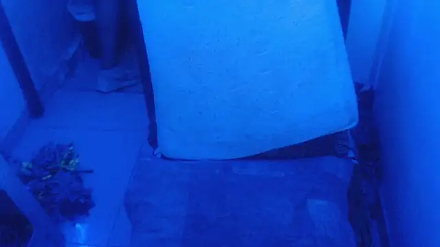 selenax2023 online show from February 2, 11:04 pm