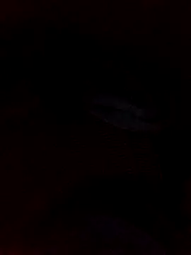 juandi21cm online show from January 11, 9:33 pm