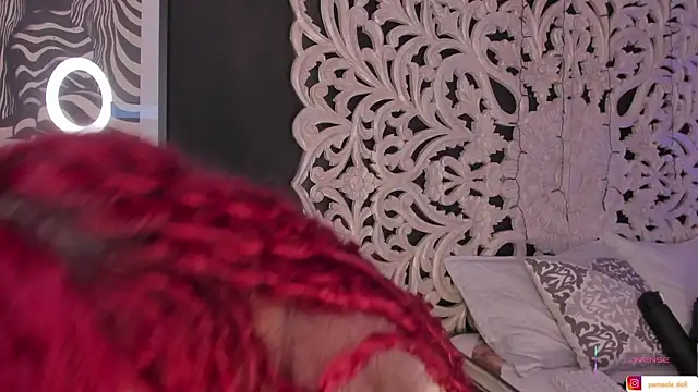 pamela doll3 online show from November 9, 4:49 am