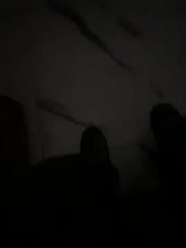 luciferdxm5 online show from January 11, 4:38 am