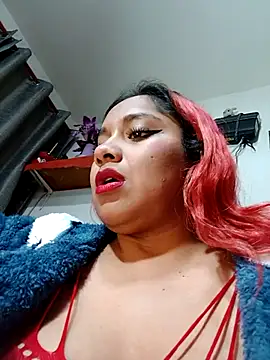 Snapshot of PokeGirld chatting on January 17, 6:17 am PokeGirld online show from January 17, 6:17 am