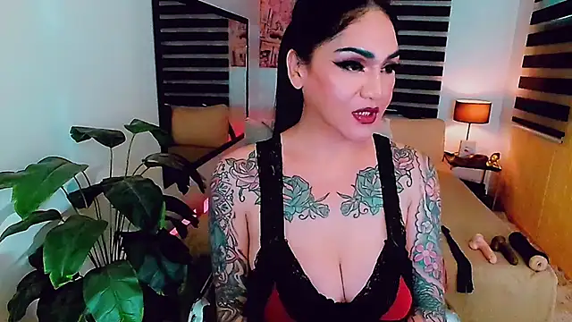 mspunisher02 online show from January 24, 2:41 pm