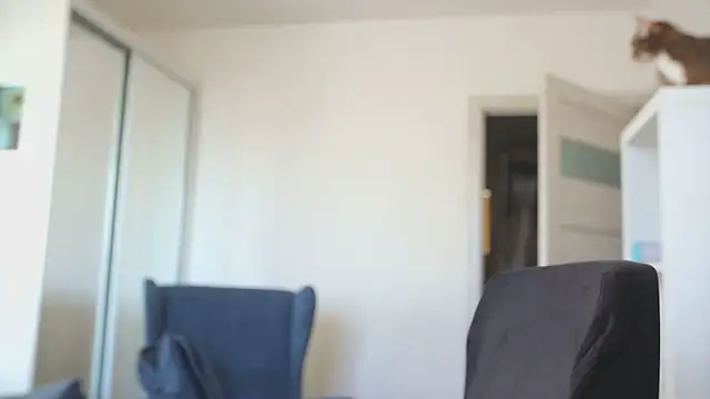 kevin-park online show from February 14, 8:14 am