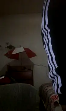 landy20cm online show from January 1, 11:38 am