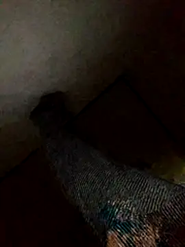 Snapshot of Annerae chatting on November 4, 6:06 am Annerae online show from November 4, 6:06 am