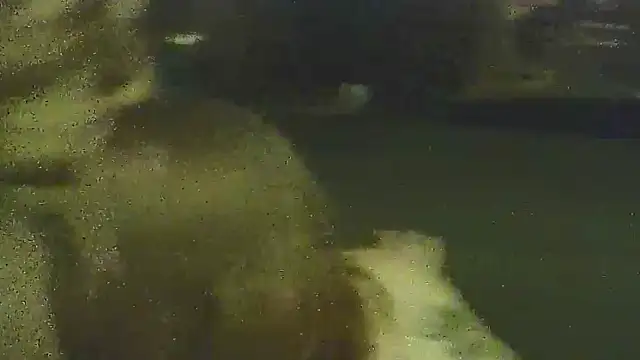 Profbadass69 online show from March 27, 2:42 am