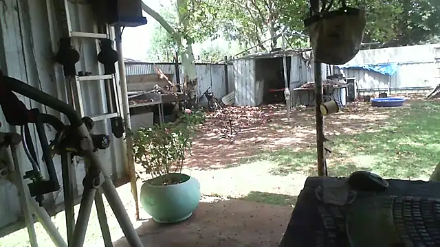 herbie010666 online show from November 14, 4:05 am