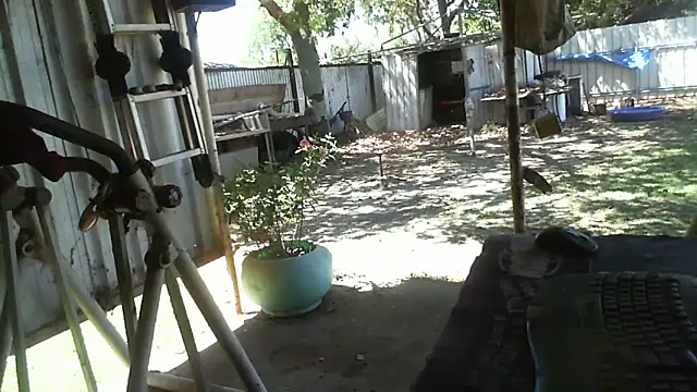 herbie010666 online show from October 30, 3:49 am