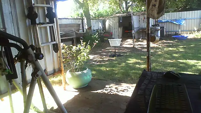 herbie010666 online show from April 24, 4:14 am