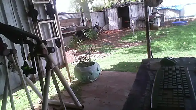 Snapshot of herbie010666 chatting on December 15, 4:40 am herbie010666 online show from December 15, 4:40 am